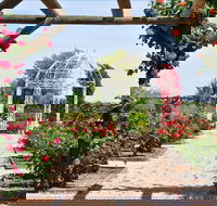 Australian Inland Botanic Gardens - Accommodation Brisbane