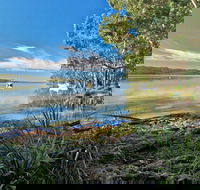 Black Oaks Picnic Area - Accommodation Brisbane