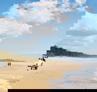 Bongil Bongil National Park - Accommodation Brisbane