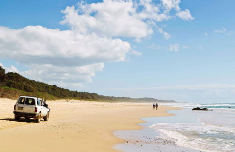 Bongil Bongil National Park - Accommodation Brisbane 0