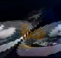 Bronwyn Clarke Ceramics - Accommodation Brisbane