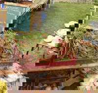 Burnie Farmers Market - Accommodation Brisbane