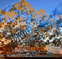 Burke and Wills Dig Tree - Accommodation Brisbane