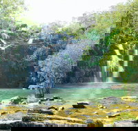 Cedar Creek Falls - Accommodation Brisbane