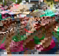 Chinchilla - Accommodation Brisbane