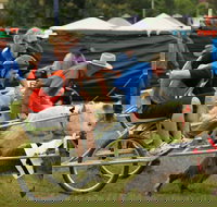 Comboyne - Accommodation Brisbane