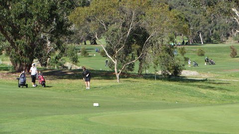 Devilbend Golf Club - Accommodation Brisbane 2