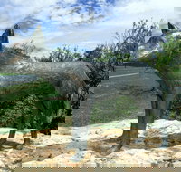 Dingo Statue - Accommodation Brisbane