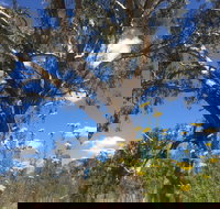 Euroa Arboretum - Accommodation Brisbane