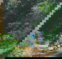 Gloucester National Park - Accommodation Brisbane
