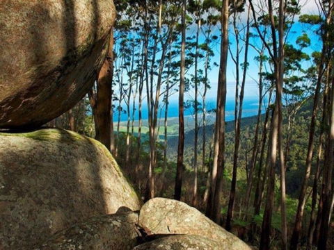Gulaga Mountain Walk - Accommodation Brisbane 0