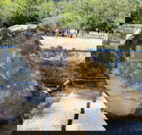 John Oxley Monument - Accommodation Brisbane