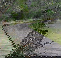 Leschenault Peninsula Conservation Park - Accommodation Brisbane