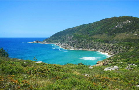 Little Bay Beach - Accommodation Brisbane 0