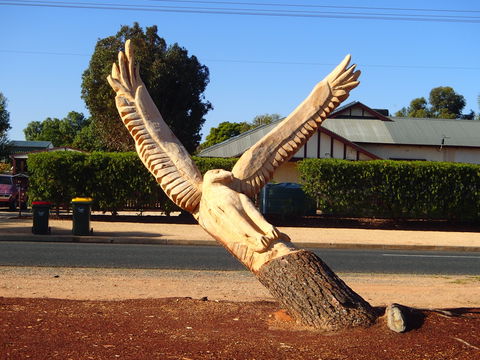 Loxton Tree Sculptures - Accommodation Brisbane 0