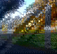 Mansfield Botanic Park - Accommodation Brisbane