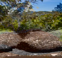 Marramarra Ridge to Smugglers Ridge walking track - Accommodation Brisbane