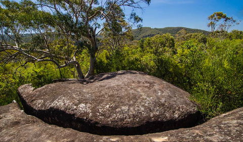 Marramarra Ridge To Smugglers Ridge Walking Track - Accommodation Brisbane 0