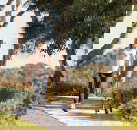 Meningie Walking and Cycling Trails - Accommodation Brisbane