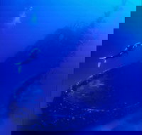 Merimbula Divers Lodge - Accommodation Brisbane