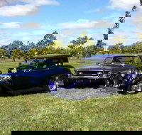 Moree Motor Enthusiasts - Accommodation Brisbane