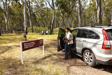 Murray Valley Regional Park - Accommodation Brisbane 0