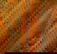 Newcastle Waters - Accommodation Brisbane