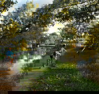 North Western Fishing Trail - Accommodation Brisbane