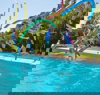 Oaklands War Memorial Swimming Pool - Accommodation Brisbane