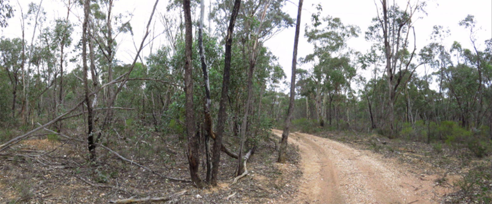 Adelaide Lead VIC Accommodation Brisbane