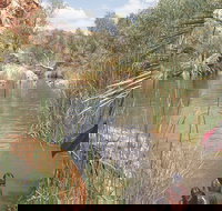 Palm Springs - Accommodation Brisbane