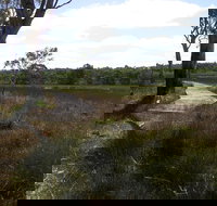 Penola Conservation Park - Accommodation Brisbane