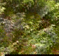 Powder Magazine walking track - Accommodation Brisbane