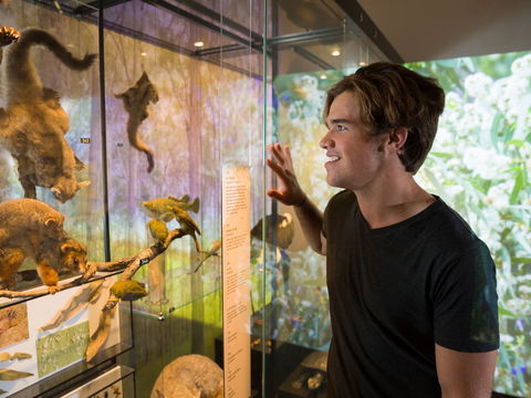 Queensland Museum - Accommodation Brisbane 0