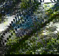 Rainforest Walking Track Hat Head National Park - Accommodation Brisbane
