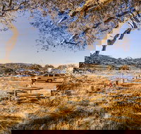 Rennix walking track - Accommodation Brisbane