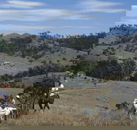 Rosebrook - Accommodation Brisbane