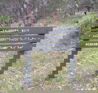 Salisbury Falls Walk - Accommodation Brisbane