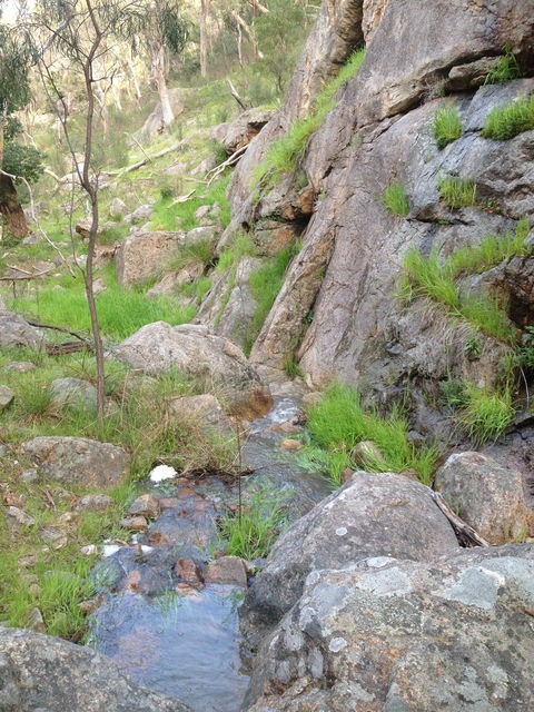 Salisbury Falls Walk - Accommodation Brisbane 2