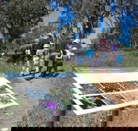 South Gundagai Woodlands Walk - Accommodation Brisbane