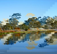 The Gums - Accommodation Brisbane