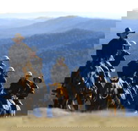 Victoria's High Country - Accommodation Brisbane