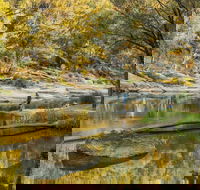 Warrabah National Park - Accommodation Brisbane