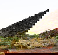 Whyalla Conservation Park - Accommodation Brisbane