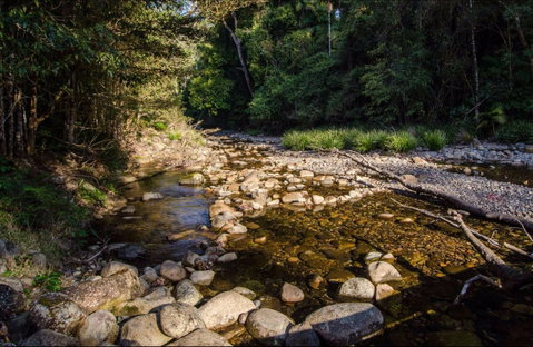 Wilson River Picnic Area - Accommodation Brisbane 0