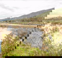 Willis picnic area - Accommodation Brisbane