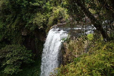 Zillie Falls - Accommodation Brisbane 0