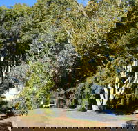 Anzac Avenue Memorial Trees Beerburrum - Accommodation Brisbane