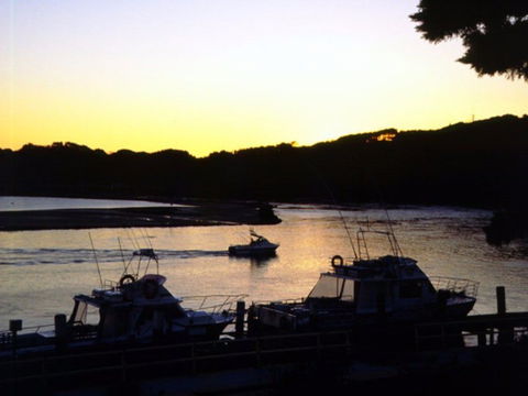 Apex Park Picnic Area Narooma - Accommodation Brisbane 2