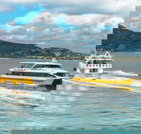 Apex Camps Magnetic Island Group Accommodation Activities and Events - Accommodation Brisbane